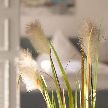 公寓 First Meereskristall *