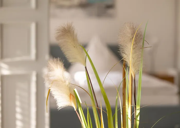 Lejlighed First Meereskristall *